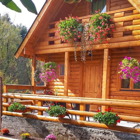 Villa Brvnara Borovik à Cetinje Extérieur photo