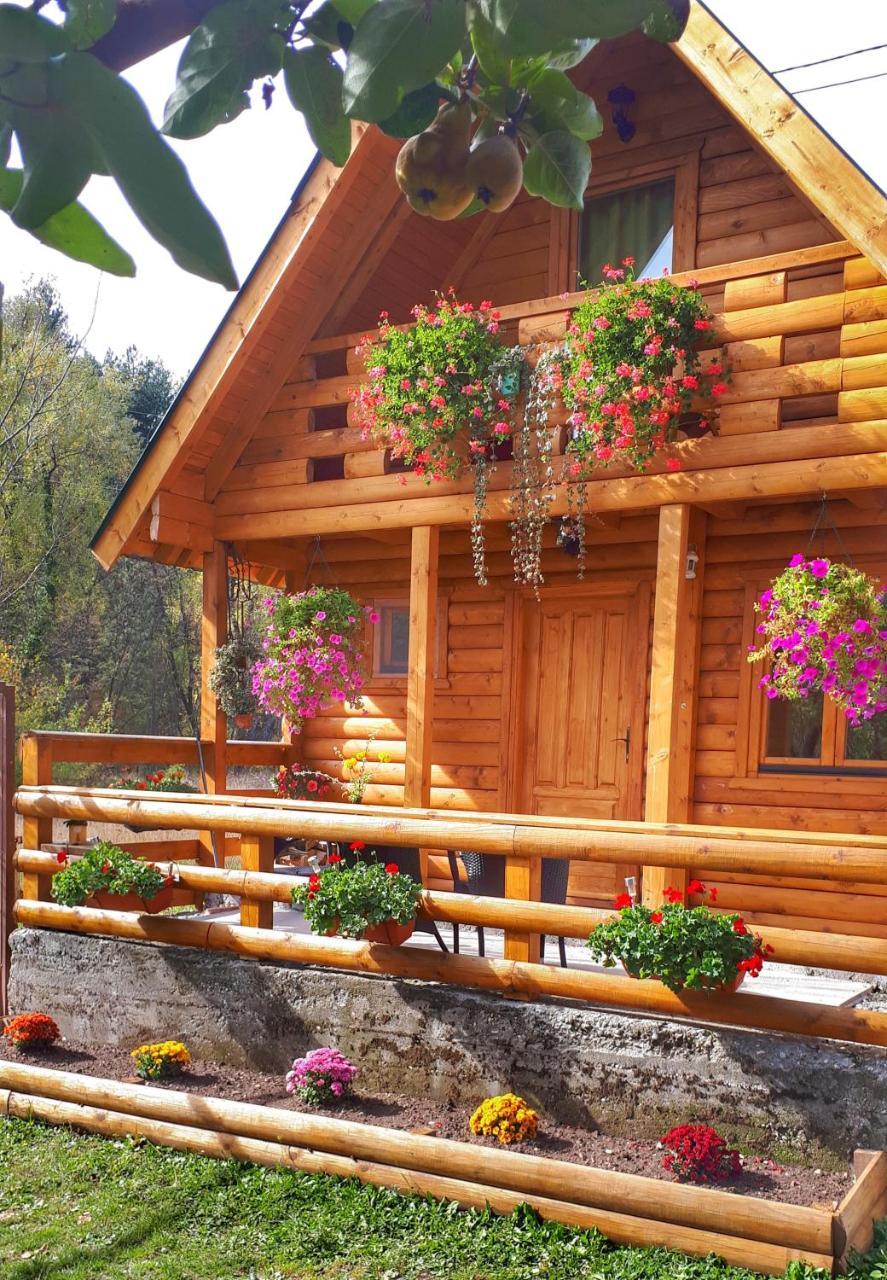 Villa Brvnara Borovik à Cetinje Extérieur photo